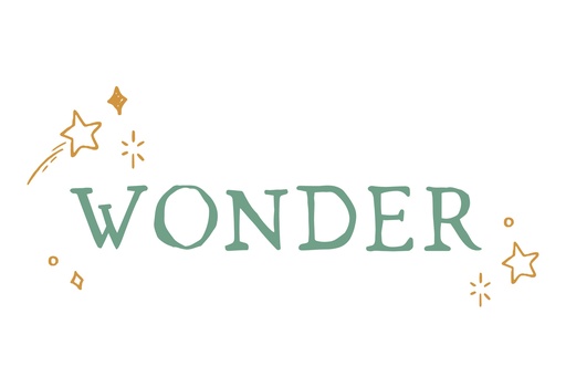 Wonder